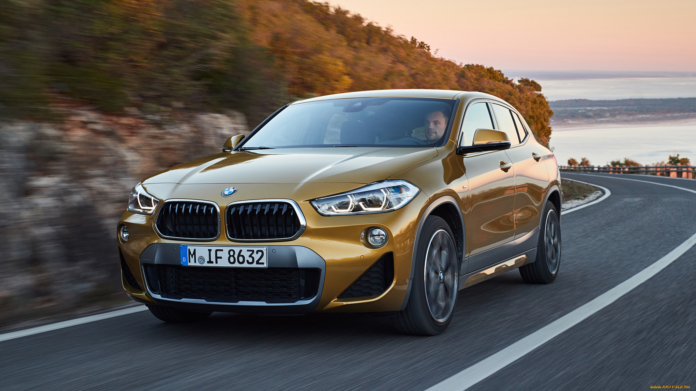 bmw x2 xdrive20d m sport x 2018, , bmw, x2, xdrive20d, m, sport, x, 2018